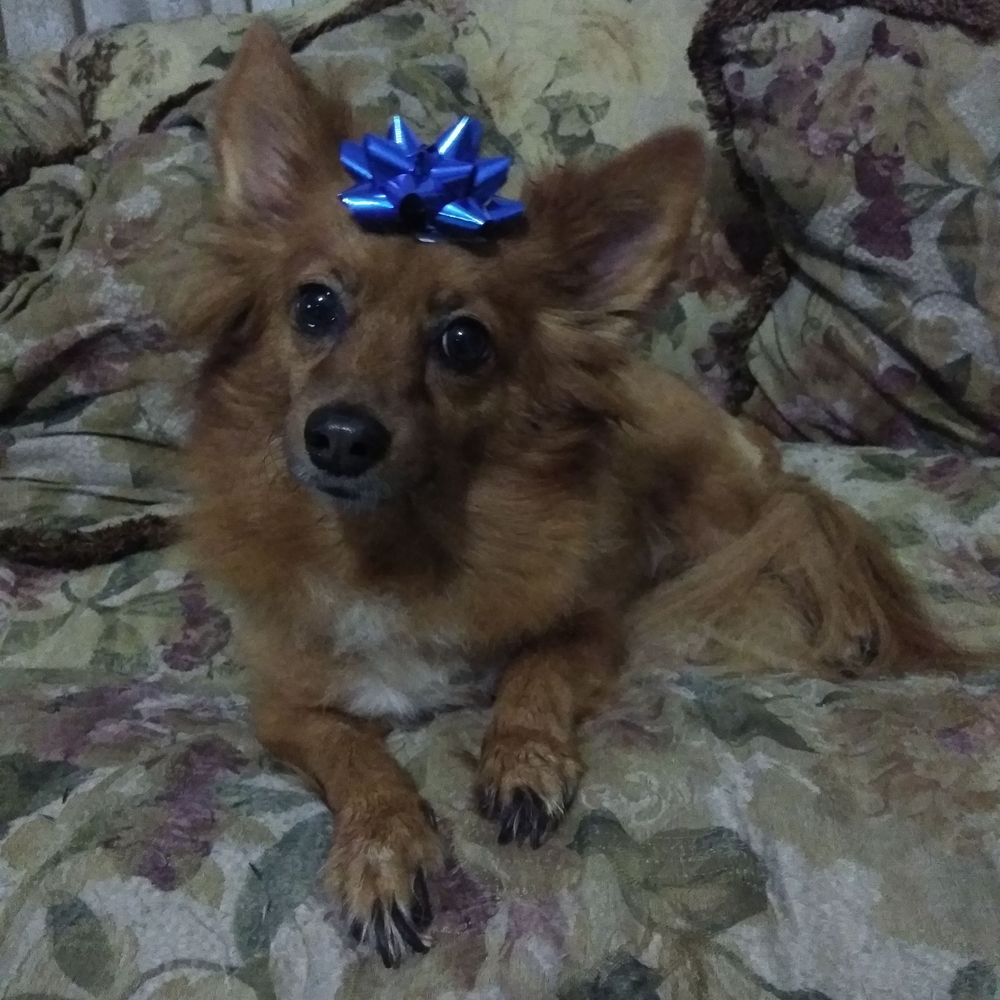 Meet your Posher, Heather